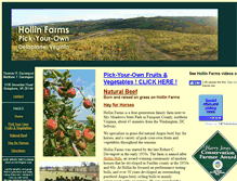 Tablet Screenshot of hollinfarms.com